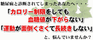 薬なしの食事療法で血糖値を下げる!「藤城式食事法DVD」 藤城博 糖尿病